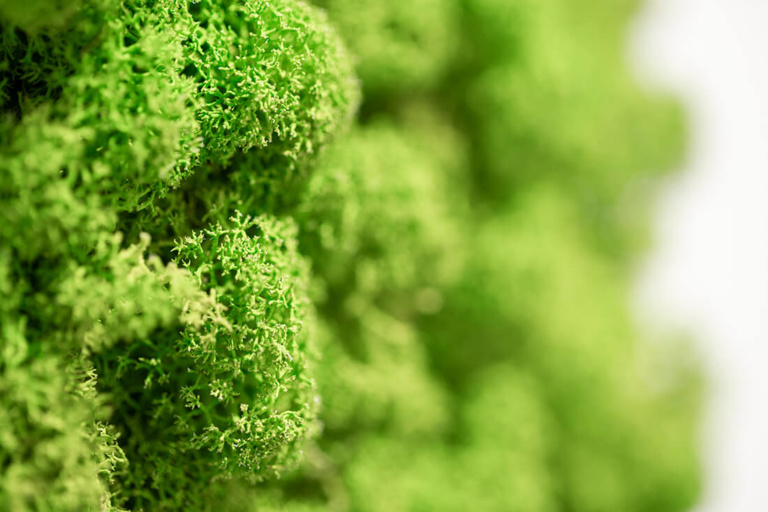 Augenarzt Kriftel – Kehrein – Leistungen Traditionelle Chinesische Medizin Augenarzt Kriftel - Kehrein - Leistungen Traditionelle Chinesische Medizin